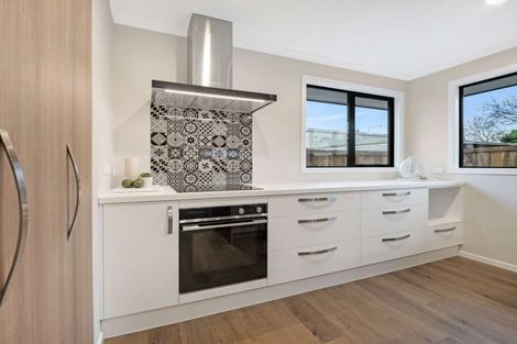 Photo of property in 164a Chalmers Avenue, Hampstead, Ashburton, 7700