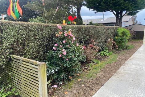 Photo of property in 77 Denbigh Street, Feilding, 4702