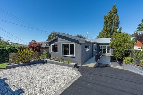 Photo of property in 155 Main Road, Fairfield, Dunedin, 9018