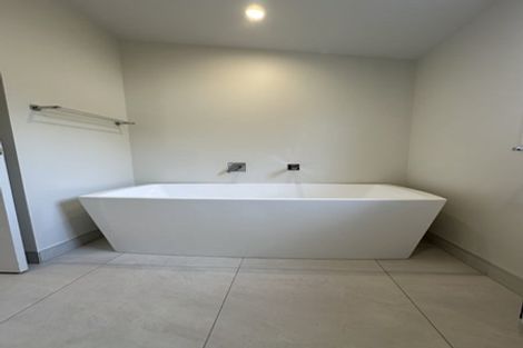 Photo of property in 161 Rimu Street, Maeroa, Hamilton, 3200