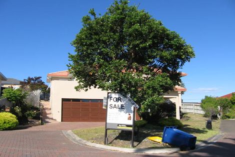 Photo of property in 45 Mandeville Place, Unsworth Heights, Auckland, 0632