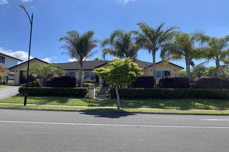 Photo of property in 23 Kinmount Drive, Pyes Pa, Tauranga, 3112