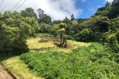 Photo of property in 24 Coombe Hay Terrace, Careys Bay, Port Chalmers, 9023