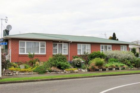 Photo of property in 12 Cardiff Street, Levin, 5510