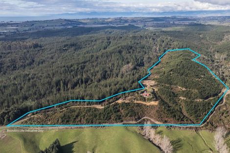 Photo of property in 441 Waiwhero Road, Ngatimoti, Upper Moutere, 7175