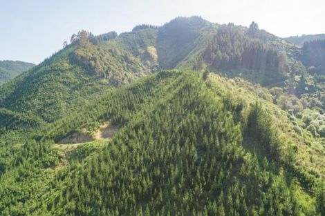 Photo of property in 641 Aniseed Valley Road, Aniseed Valley, Richmond, 7081