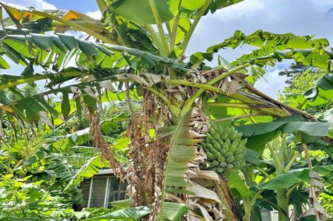 Photo of property in 71a Hukatere Road, Pukenui, Kaitaia, 0484