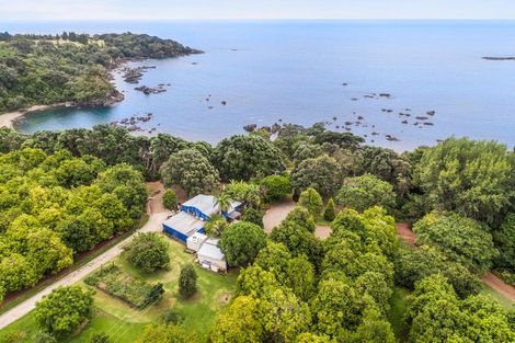 Photo of property in 8328 State Highway 35, Whanarua Bay, Te Kaha, 3199