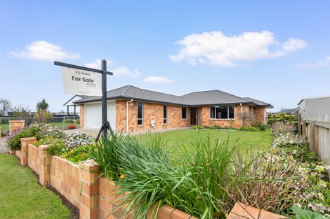 Photo of property in 67 Moorhouse Street, Morrinsville, 3300