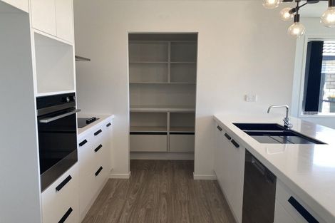 Photo of property in 17 Ed Hillary Drive, Rolleston, 7615