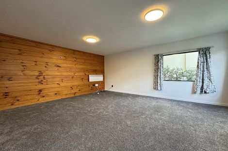 Photo of property in Te Awhina Apartments, 3/22 Sussex Street, Mount Cook, Wellington, 6021