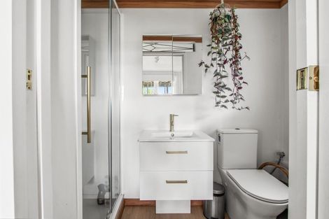 Photo of property in 103 Pembroke Street, Hamilton Lake, Hamilton, 3204