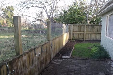 Photo of property in 620 York Street, Mahora, Hastings, 4120