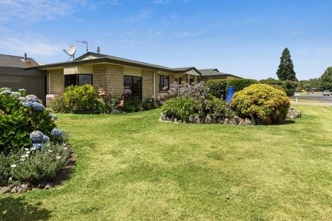 Photo of property in 19 Tawari Street, Matamata, 3400