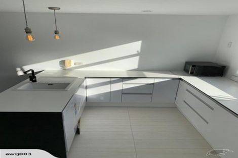 Photo of property in 18 Ngaoho Place, Parnell, Auckland, 1010