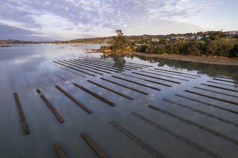 Photo of property in 50 Kiteone Road, Parua Bay, Whangarei, 0174