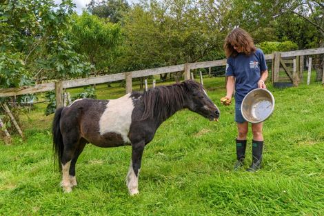 Photo of property in 740a Belk Road, Omanawa, 3171