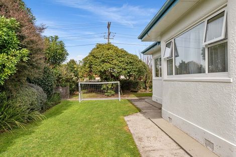 Photo of property in 55 Queen Street, Te Puke, 3119