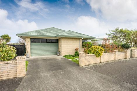 Photo of property in 144 Manchester Street, Feilding, 4702