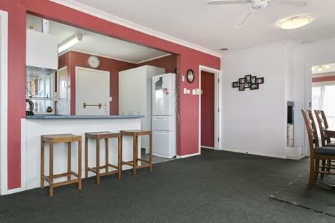 Photo of property in 15 Sholson Street, Putaruru, 3411