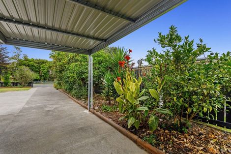 Photo of property in 55 Hinemoa Street, Whakatane, 3120