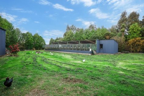 Photo of property in 41 Arcadia Place, Seaward Bush, Invercargill, 9812