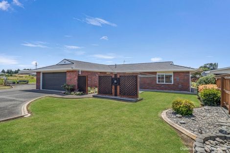Photo of property in 102a Surrey Road, Springvale, Whanganui, 4501
