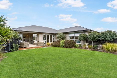 Photo of property in 7 Seaward Street, Pegasus, 7612