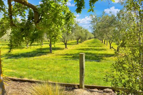 Photo of property in 325 Georges Road, Glasnevin, Amberley, 7482