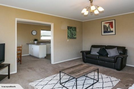 Photo of property in 17 Rochester Street, Tamatea, Napier, 4112