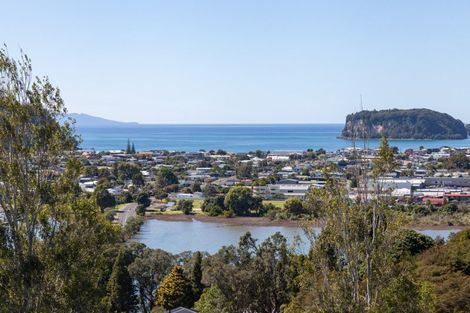 Photo of property in 111 Te Pamahue Drive, Whangamata, 3620