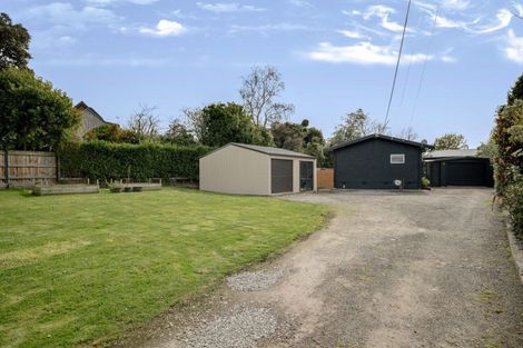 Photo of property in 9 Haggitt Street, Feilding, 4702