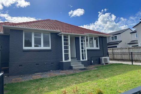 Photo of property in 19 Holland Avenue, Point England, Auckland, 1072