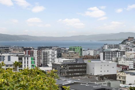 Photo of property in 53 Thompson Street, Mount Cook, Wellington, 6011