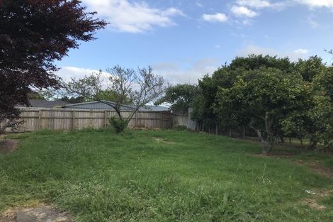Photo of property in 20 Windmill Road, Pukekohe, 2120