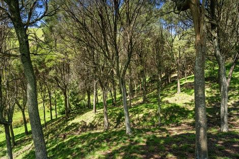 Photo of property in 231 Aniseed Valley Road, Aniseed Valley, Richmond, 7081