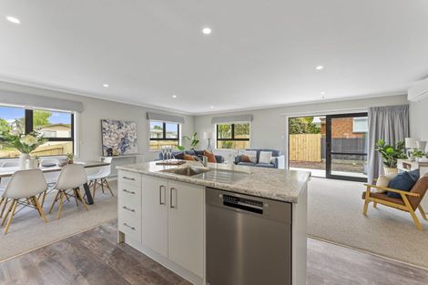 Photo of property in 15a Freyberg Street, Feilding, 4702