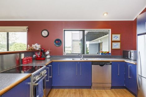 Photo of property in 51 Kopane Road, Rongotea, Palmerston North, 4476