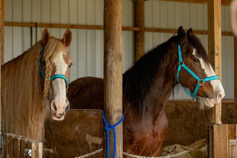 Photo of property in 97f Poplar Lane, Edgecumbe, Whakatane, 3192