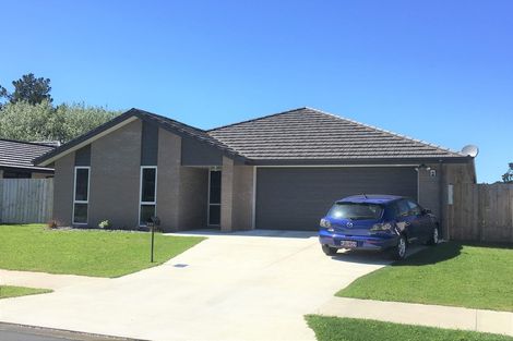 Photo of property in 245 Dixon Road, Fitzroy, Hamilton, 3206