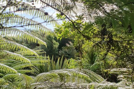 Photo of property in 19 Okura Drive, Kerikeri, 0230