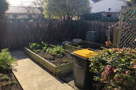 Photo of property in 44d Grove Street, Saint Kilda, Dunedin, 9012