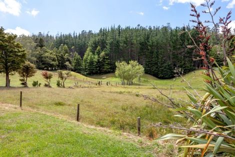 Photo of property in 225 Puketui Valley Road, Hikuai, 3579