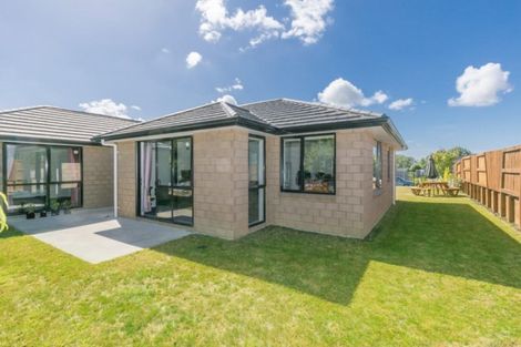 Photo of property in 20 Patatee Terrace, Baverstock, Hamilton, 3200