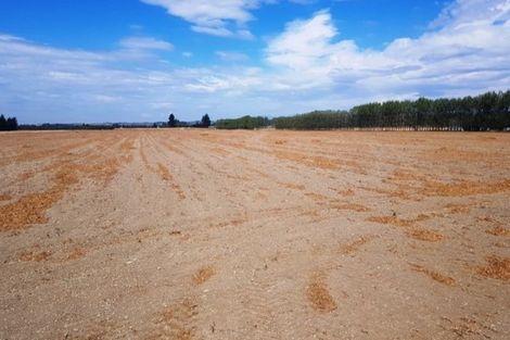 Photo of property in 143 Falvey Road, Levels, Timaru, 7975