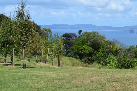 Photo of property in 3 Puriri Place, Tuateawa, Coromandel, 3583