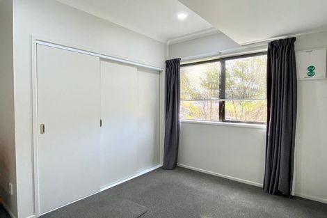 Photo of property in 57 Twentysecond Avenue, Gate Pa, Tauranga, 3112
