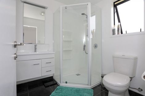 Photo of property in 19 Macdonald Heights, Feilding, 4702