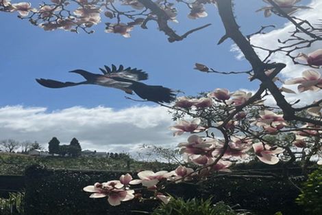 Photo of property in 38 Vernon Road, Minden, Tauranga, 3171