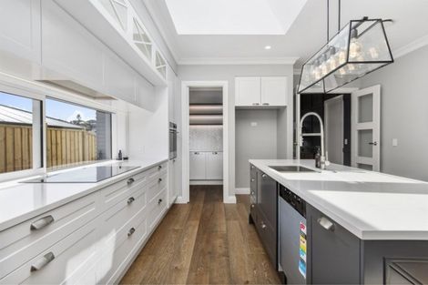 Photo of property in 43 Glenpark Crescent, Bethlehem, Tauranga, 3110